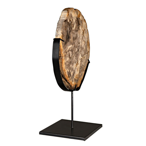 Wood Fossil with Stand, 12"-Noir Furniture-Blue Hand Home