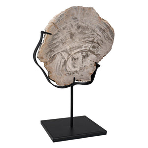 Wood Fossil with Stand, 8"-Noir Furniture-Blue Hand Home