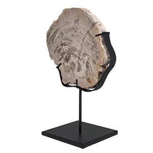 Wood Fossil with Stand, 8"-Noir Furniture-Blue Hand Home