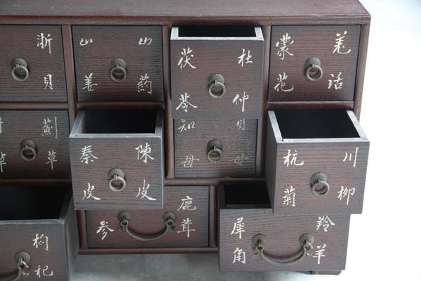 Reedition Medecine Chest-Organic Restoration-Blue Hand Home