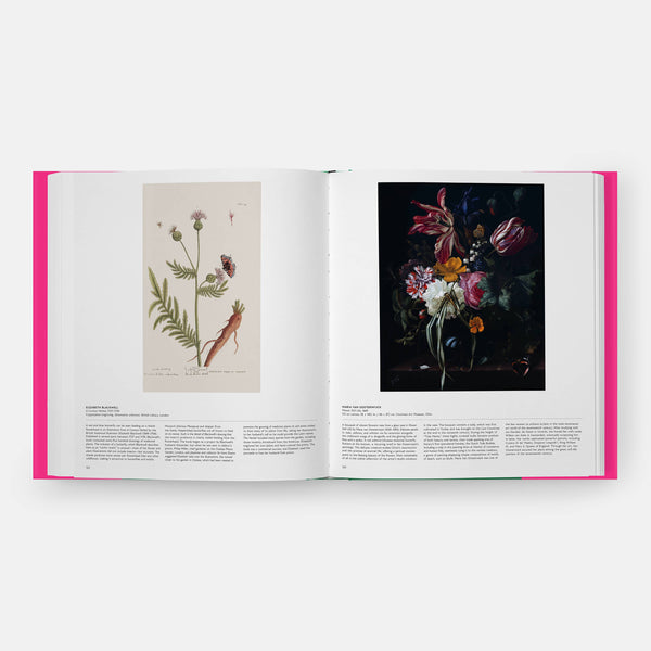 Butterfly: Exploring the World of Lepidoptera-Blue Hand Home