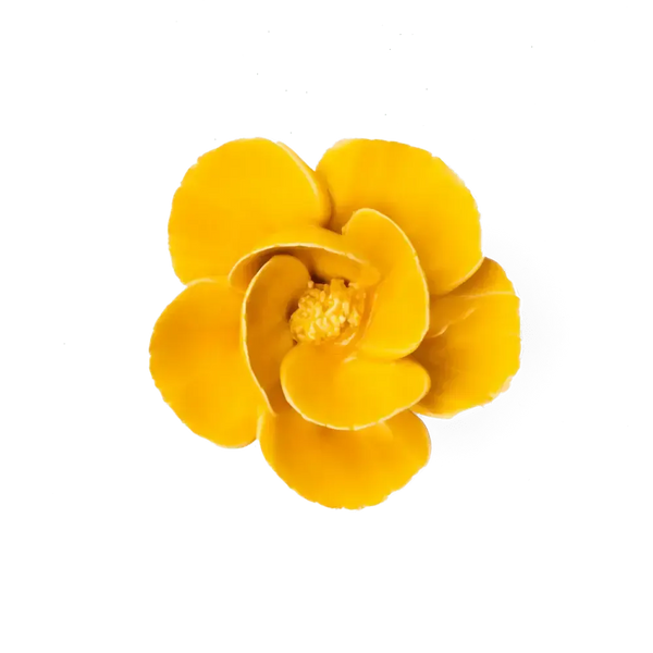 Yellow Poppy Ceramic Flower Wall Hangings - Handmade Boxed-Blue Hand Home