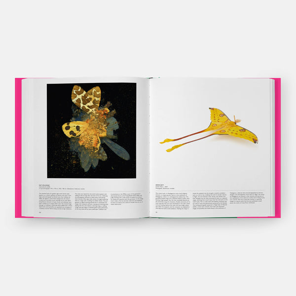 Butterfly: Exploring the World of Lepidoptera-Blue Hand Home