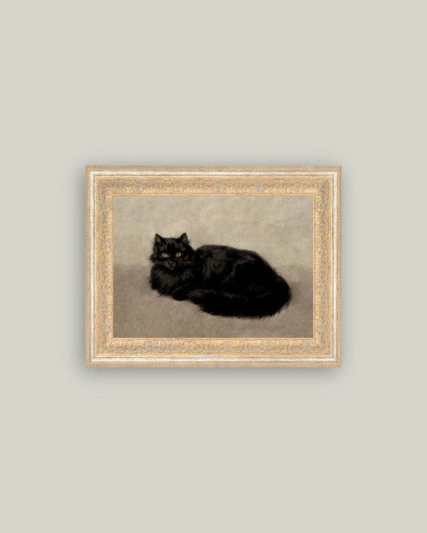 Black Cat Framed Antique Art-Blue Hand Home