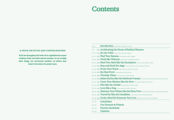 Flamingo Estate: The Guide to Becoming Alive-Blue Hand Home