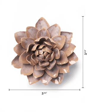 July Birth Flower - Waterlily-Blue Hand Home