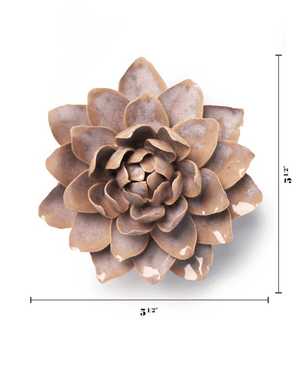 July Birth Flower - Waterlily-Blue Hand Home