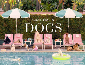 Gray Malin: Dogs-Blue Hand Home