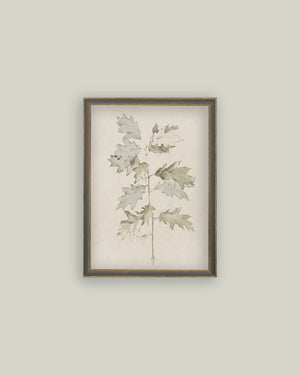 Oak Leaves Framed Antique Art-Blue Hand Home