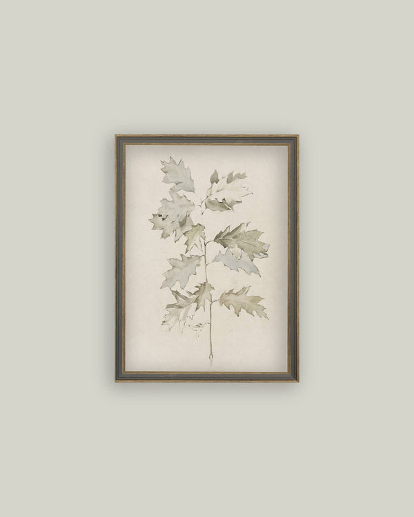 Oak Leaves Framed Antique Art-Blue Hand Home