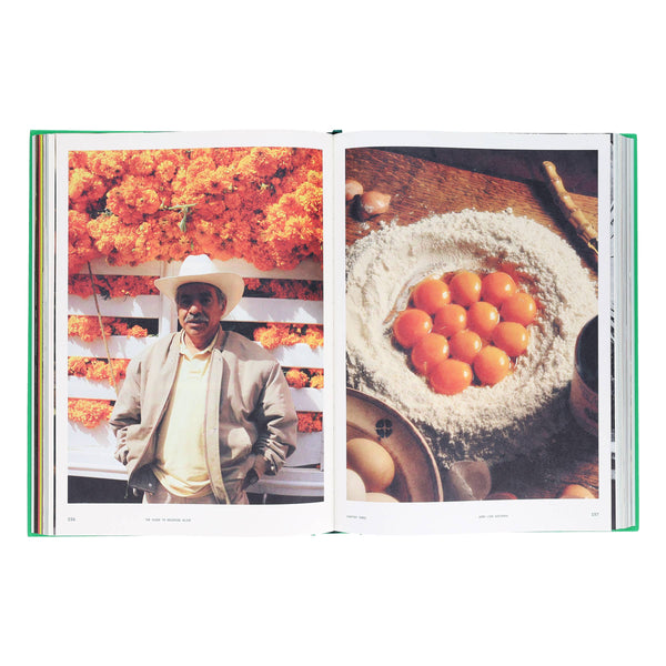 Flamingo Estate: The Guide to Becoming Alive-Blue Hand Home