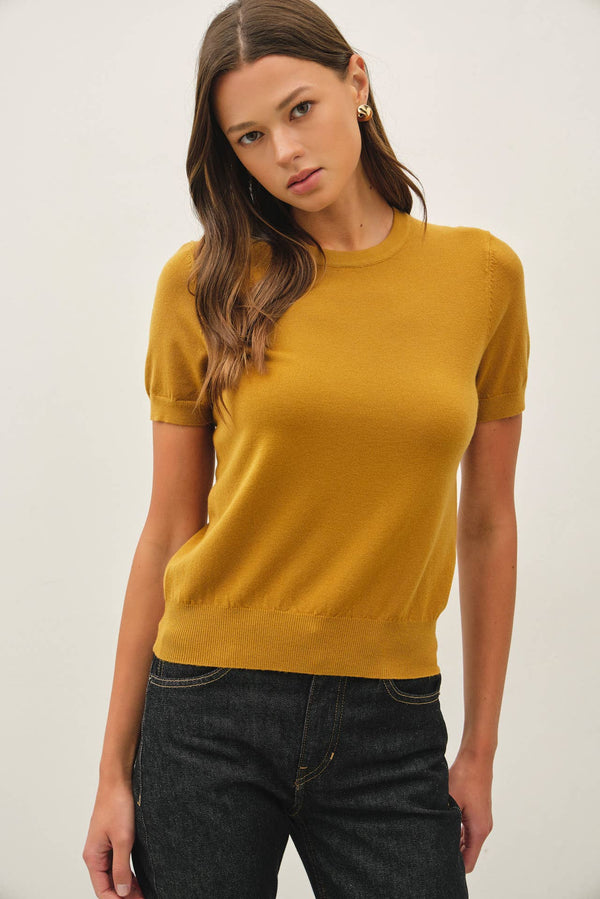 Basic Short Sleeve Sweater Top