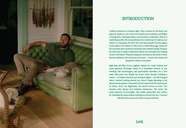 Flamingo Estate: The Guide to Becoming Alive-Blue Hand Home