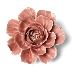 Champagne Pink Rose Mothers Day Boxed Gifts In Pretty Boxes-Blue Hand Home