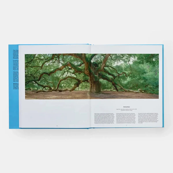 Tree: Exploring The Arboreal World-Blue Hand Home