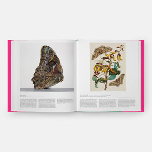Butterfly: Exploring the World of Lepidoptera-Blue Hand Home