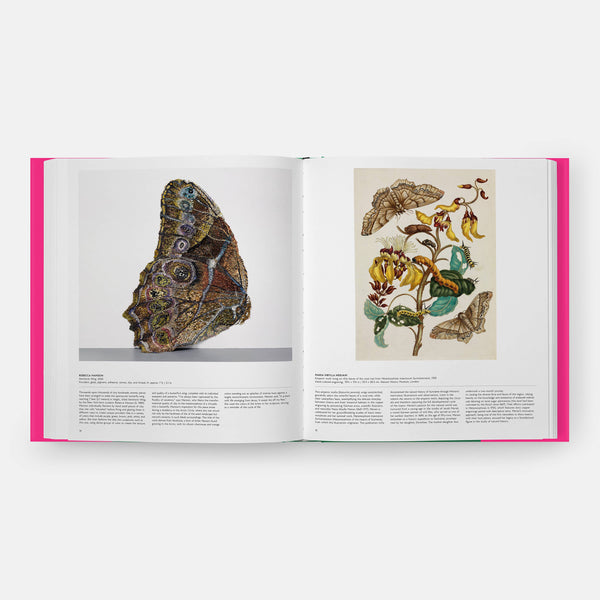Butterfly: Exploring the World of Lepidoptera-Blue Hand Home