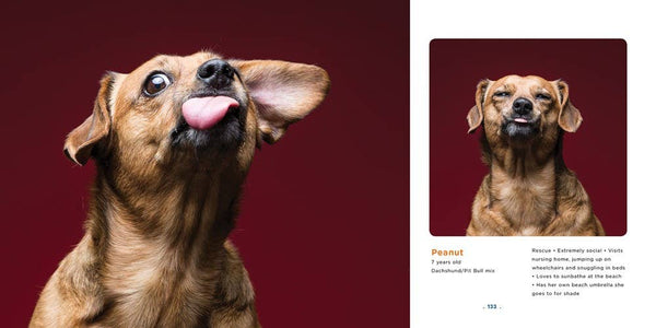 Peanut Butter Dogs-Blue Hand Home