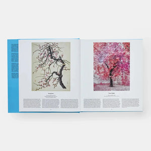 Tree: Exploring The Arboreal World-Blue Hand Home
