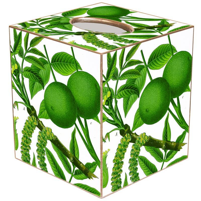 Limes on White Tissue Box Cover-Blue Hand Home