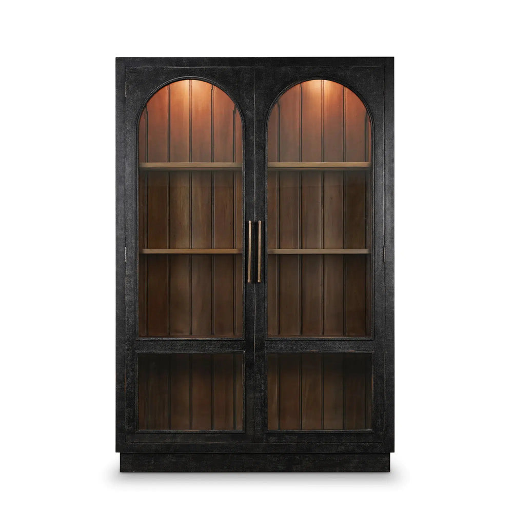 Vannes 2 Door Display Cabinet w/ Glass Shelves and LED lights-Blue Hand Home