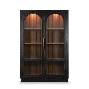 Vannes 2 Door Display Cabinet w/ Glass Shelves and LED lights-Blue Hand Home