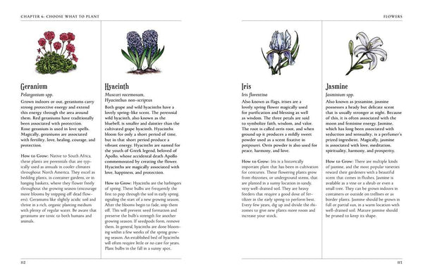 Green Witch's Garden by Arin Murphy-Hiscock-Blue Hand Home