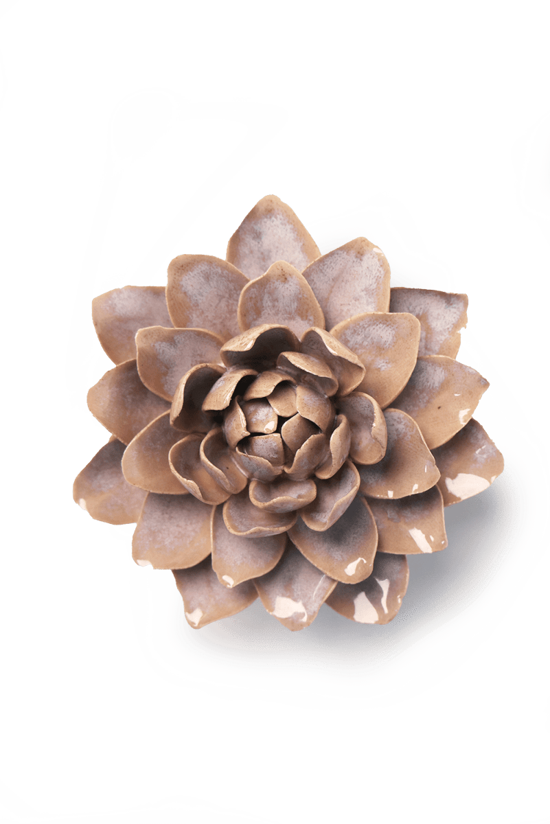 July Birth Flower - Waterlily-Blue Hand Home