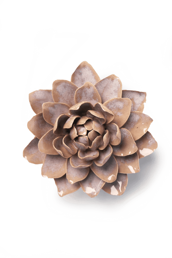 July Birth Flower - Waterlily-Blue Hand Home