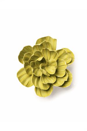 February Birth Flower - Primrose-Blue Hand Home