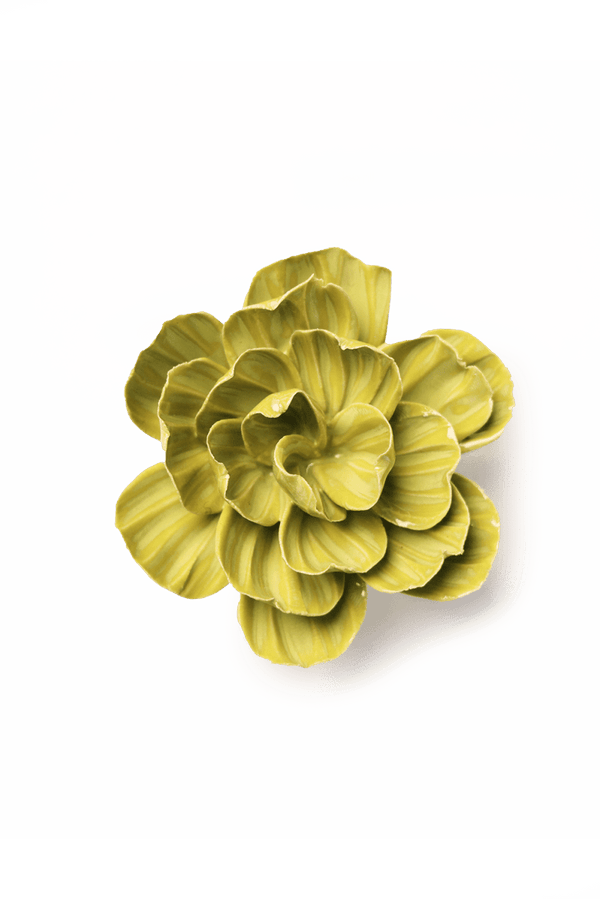 February Birth Flower - Primrose-Blue Hand Home