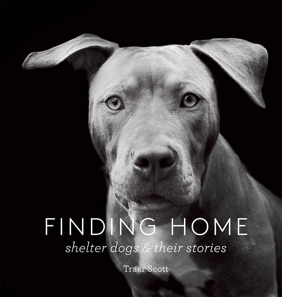 Finding Home-Blue Hand Home