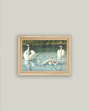Swan Family Framed Antique Art-Blue Hand Home