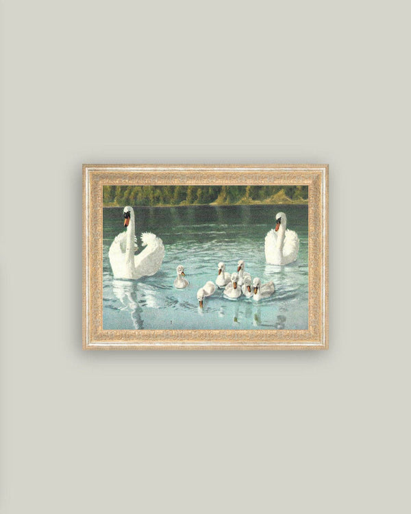 Swan Family Framed Antique Art-Blue Hand Home