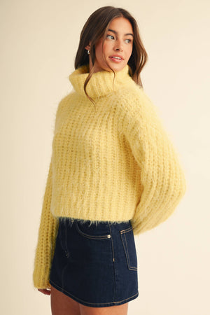 3319ik Cozy Ribbed Turtleneck Sweater