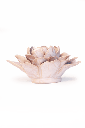 July Birth Flower - Waterlily-Blue Hand Home