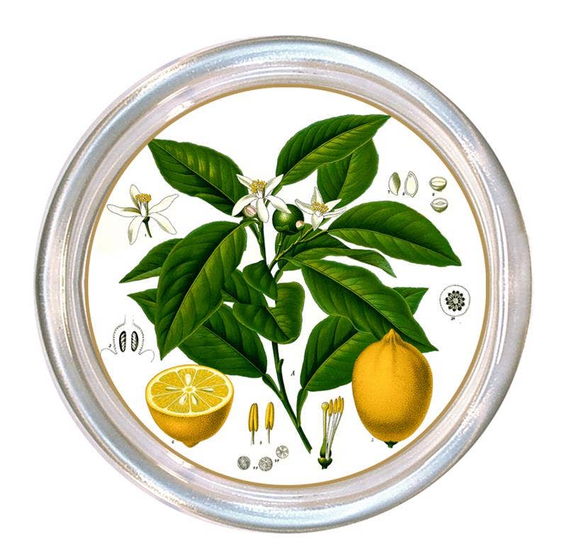 C7879- Vintage Lemons Coaster-Blue Hand Home