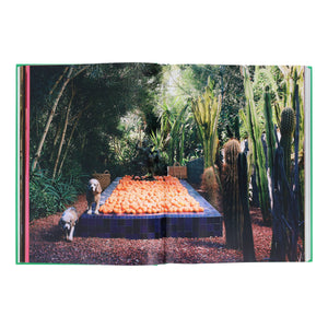 Flamingo Estate: The Guide to Becoming Alive-Blue Hand Home