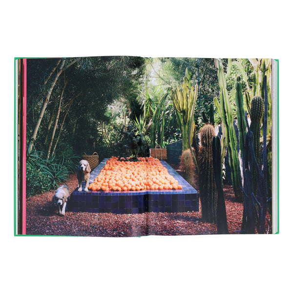 Flamingo Estate: The Guide to Becoming Alive-Blue Hand Home