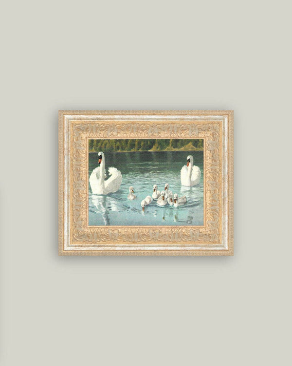 Swan Family Framed Antique Art-Blue Hand Home