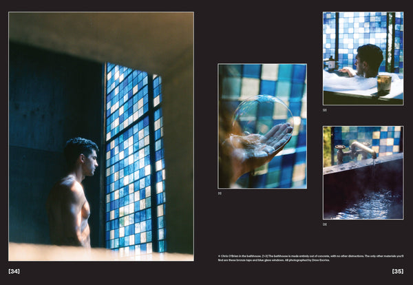 Flamingo Estate: The Guide to Becoming Alive-Blue Hand Home