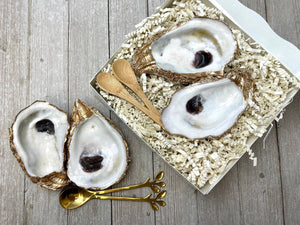 Salt & Pepper- oyster-Blue Hand Home