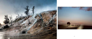 Bison: Portrait of an Icon-Blue Hand Home