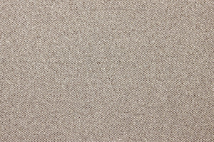 https://cdn.shopify.com/s/files/1/0044/2666/1934/files/Bonn_Birch_FB11929_product_image.jpg?v=1729185156