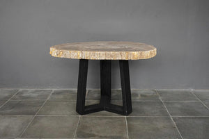 Petrified Wood Coffee Table-Blue Hand Home