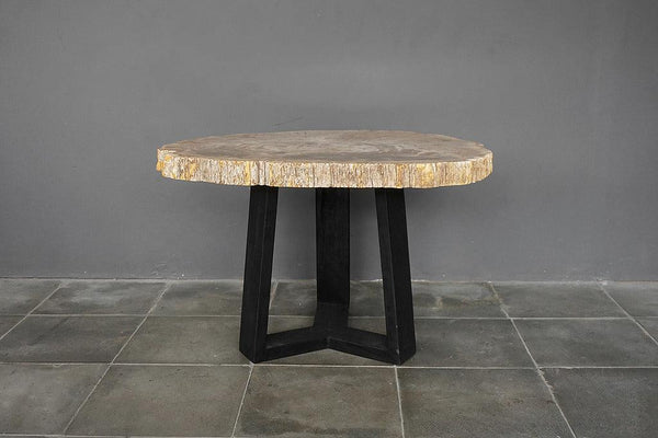 Petrified Wood Coffee Table-Blue Hand Home