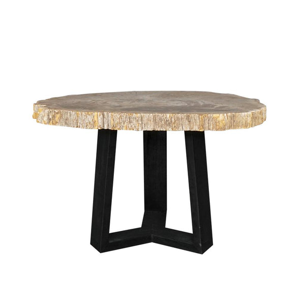 Petrified Wood Coffee Table-Blue Hand Home