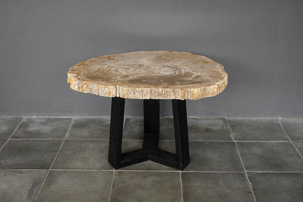Petrified Wood Coffee Table-Blue Hand Home