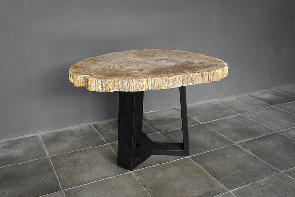 Petrified Wood Coffee Table-Blue Hand Home