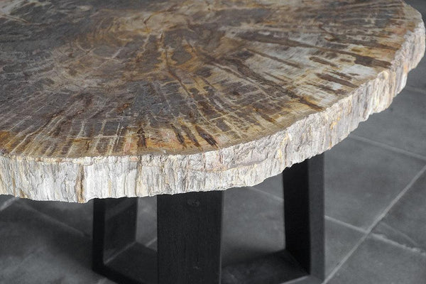 Petrified Wood Coffee Table-Blue Hand Home